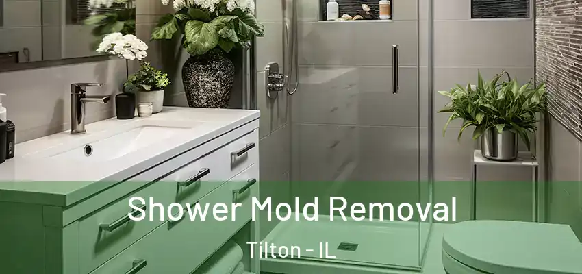  Shower Mold Removal Tilton - IL
