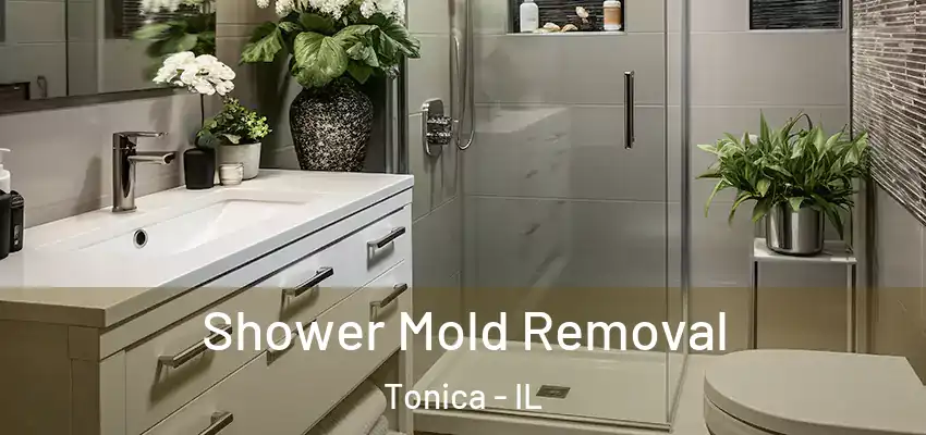  Shower Mold Removal Tonica - IL