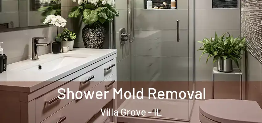  Shower Mold Removal Villa Grove - IL