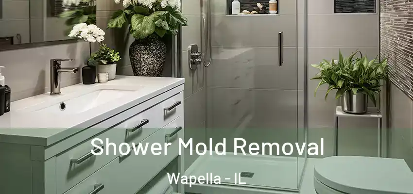  Shower Mold Removal Wapella - IL