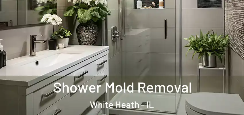  Shower Mold Removal White Heath - IL
