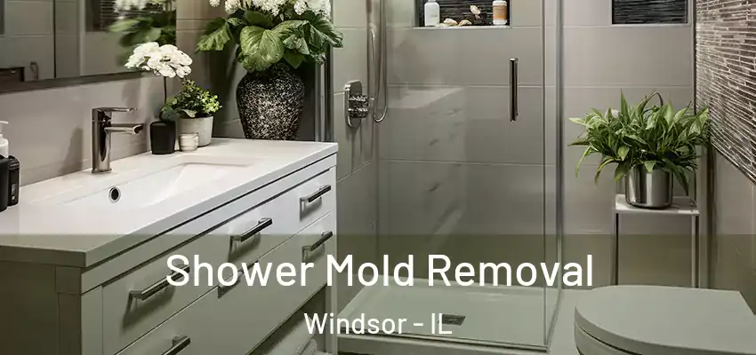 Shower Mold Removal Windsor - IL